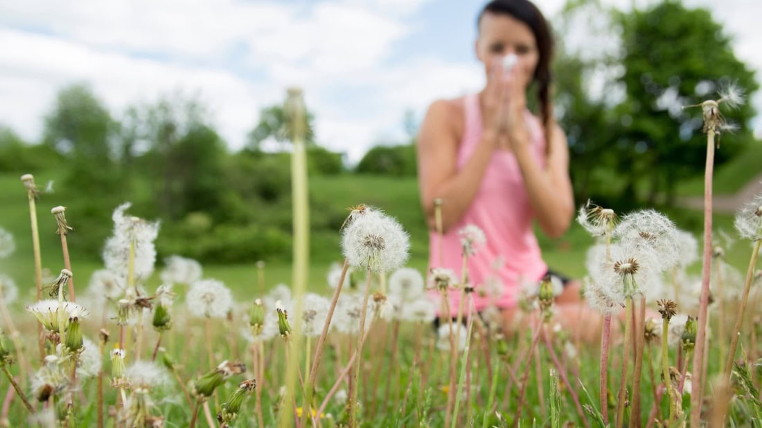 Allergische reactie op hooikoorts, vrouw in veld met paardenbloemen, hooikoorts symptomen, buitenluc.
